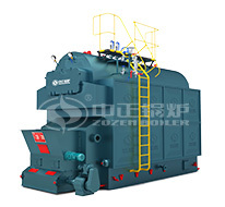 DZL系列生物質鏈條蒸