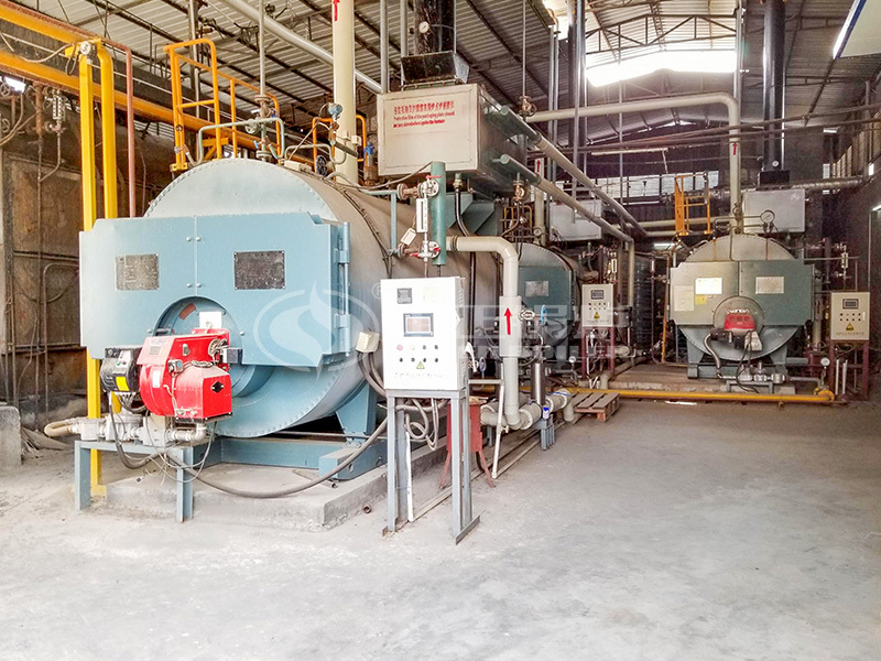 中潤紡織科技2噸WNS系列燃?xì)庹羝仩t項(xiàng)目