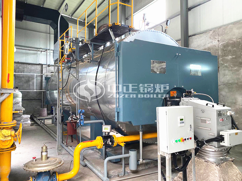 紡織印染10噸WNS系列節(jié)能型燃?xì)庹羝仩t