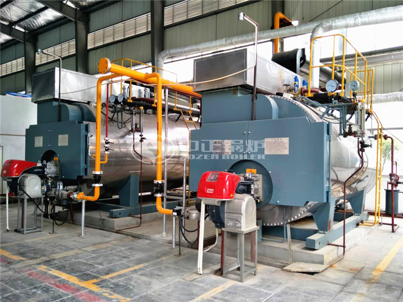 新能源科技6噸WNS系列二回程燃?xì)庹羝仩t項(xiàng)目