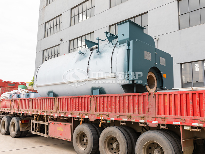 醫(yī)院6噸節(jié)能環(huán)保WNS系列燃?xì)庹羝仩t項(xiàng)目