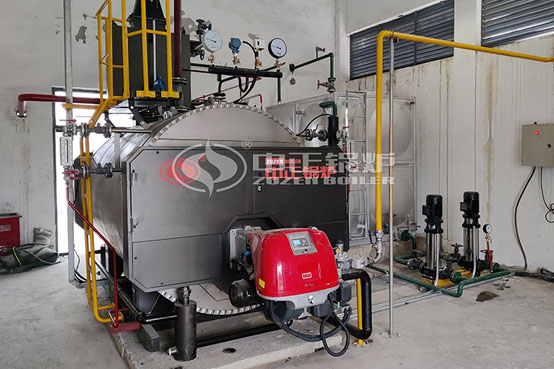 江蘇1噸定制款WNS系列燃?xì)庹羝仩t項(xiàng)目