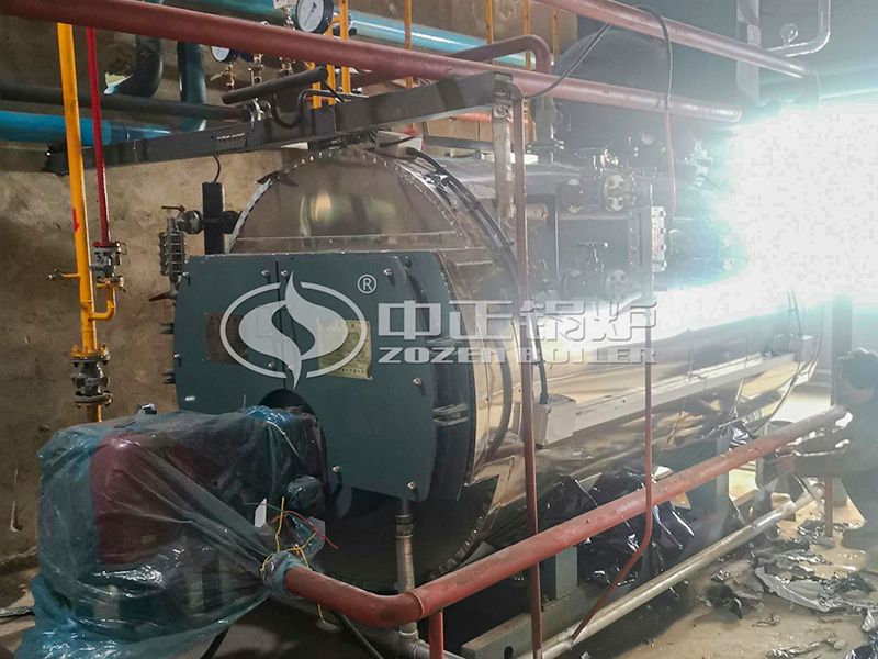 食品1噸經(jīng)濟型WNS系列燃氣蒸汽鍋爐項目