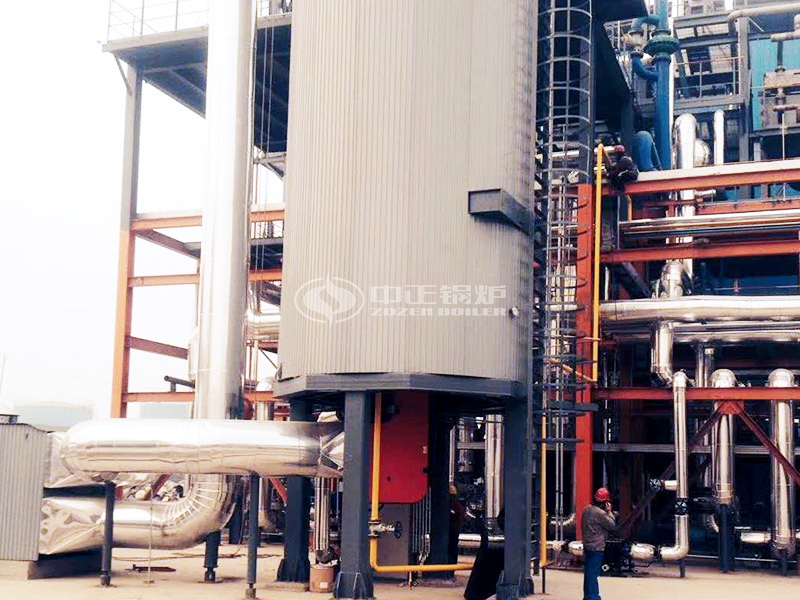 天然蒸汽氣鍋爐