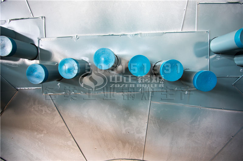 天然蒸汽氣鍋爐