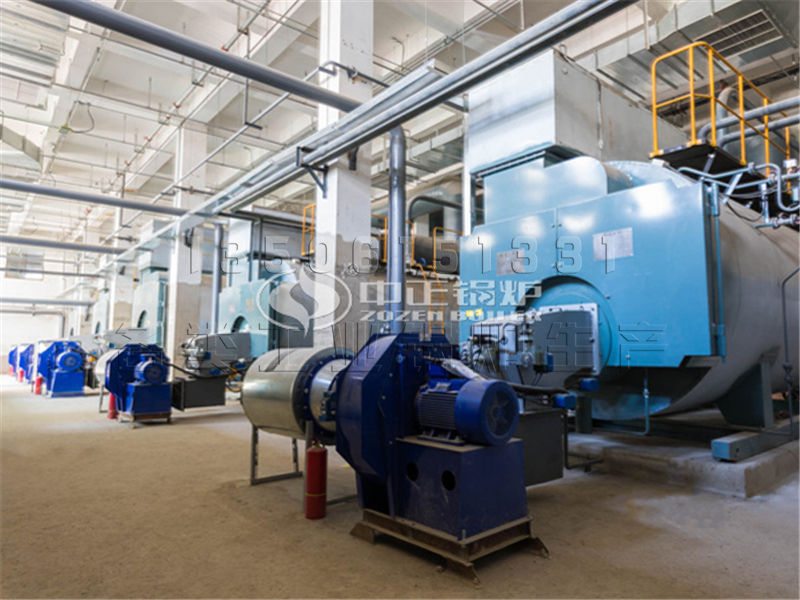 撬裝式燃?xì)忮仩t廠家有哪些